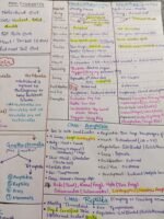 Animal Kingdom - Short notes covering all NCERT lines and examples - Image 3