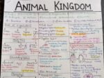 Animal Kingdom - Short notes covering all NCERT lines and examples - Image 4