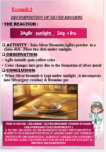 Topper’s Secret: NCERT Chapter 1 Chemical Reactions & Equations-Premium notes - Image 3