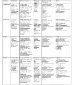 Bacteriology - Image 2