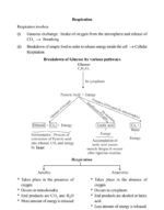 Science, Chapter 1 Life Processe(NOTES)Class 10th, Biology. - Image 6