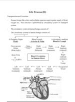 Science, Chapter 1 Life Processe(NOTES)Class 10th, Biology. - Image 9