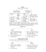 Science, Chapter 1 Life Processe(NOTES)Class 10th, Biology. - Image 10