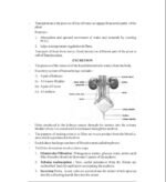 Science, Chapter 1 Life Processe(NOTES)Class 10th, Biology. - Image 11
