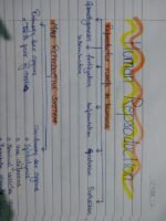 Class 12 ch-2 Human Reproduction