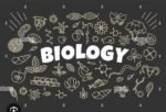 Class 11 biology chapter 8 for easy understanding