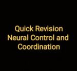 Neural control and coordination - Image 2
