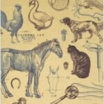 Veterinary Andrology handwritten notes