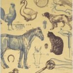 Bacterial, fungal, and parasitic diseases