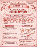 CBSE Class 10th Biology Chapter 6 Control and Coordination NCERT Notes