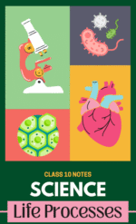 Life Process (Std.10), Science Notes