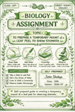 Class 10th Biology Assignment Leaf Peel Temporary ( Stomata )