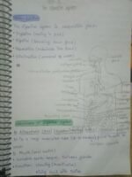 GNM Digestive system Complete notes PDF। Easy language। Exam focused - Image 2