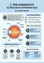 Chapter 2:The Human Eye and the Colourful World - Class 10th Physics - By Muzzafar Badder - Image 2