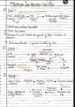 MICROBES IN HUMAN WELFARE [BIOLOGY]
