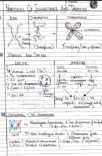 PRINCIPAL OF INHERITANCE [BIOLOGY]