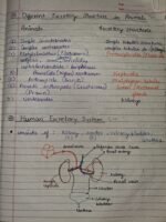 Class-11;Biology - Image 3
