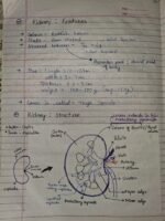 Class-11;Biology - Image 4