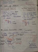 Class-11;Biology - Image 7