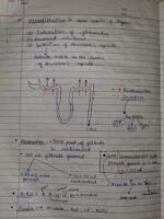 Class-11;Biology - Image 8