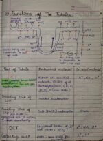 Class-11;Biology - Image 9