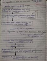 Class-11;Biology - Image 12