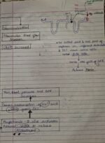 Class-11;Biology - Image 13