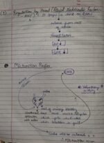 Class-11;Biology - Image 14
