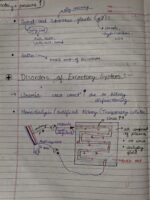 Class-11;Biology - Image 16