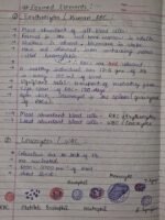 Class-11; Biology; Body Fluids and Circulation - Image 2