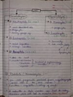 Class-11; Biology; Body Fluids and Circulation - Image 3