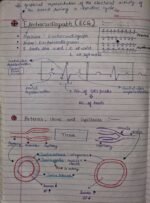 Class-11; Biology; Body Fluids and Circulation - Image 14