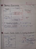 Class-11; Biology; Body Fluids and Circulation - Image 15