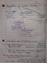 Class-11; Biology; Body Fluids and Circulation - Image 16