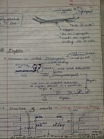 Class-11; Biology; Locomotion and Movement - Image 7