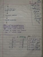 Class-11; Biology; Locomotion and Movement - Image 9
