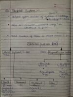 Class-11; Biology; Locomotion and Movement - Image 10