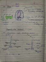 Class-11; Biology; Locomotion and Movement - Image 12