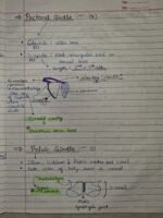 Class-11; Biology; Locomotion and Movement - Image 13