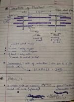 Class-11; Biology; Locomotion and Movement - Image 6