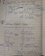 Class-11; Biology; Locomotion and Movement - Image 8