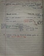 Class-11;Biology;Neural Control and Coordination - Image 3