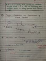 Class-11;Biology;Neural Control and Coordination - Image 8