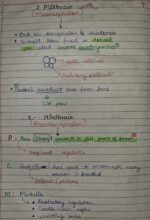 Class-11;Biology;Neural Control and Coordination - Image 13