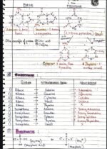 MOLECULAR BASIS OF INHERITANCE [BIOLOGY] - Image 2