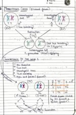 PRINCIPAL OF INHERITANCE [BIOLOGY] - Image 3