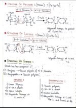 BIOMOLECULES [CHEMISTRY] 12th standard - Image 3