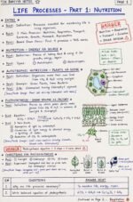 Class 10 CBSE Science Ch.1 TJK Bhaiyya - Image 2