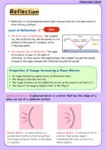Class 10th light notes - Image 2