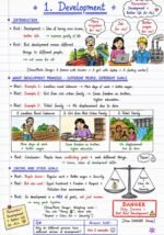 Class 10 Economics Ch.1 TJK BHAIYYA - Image 2